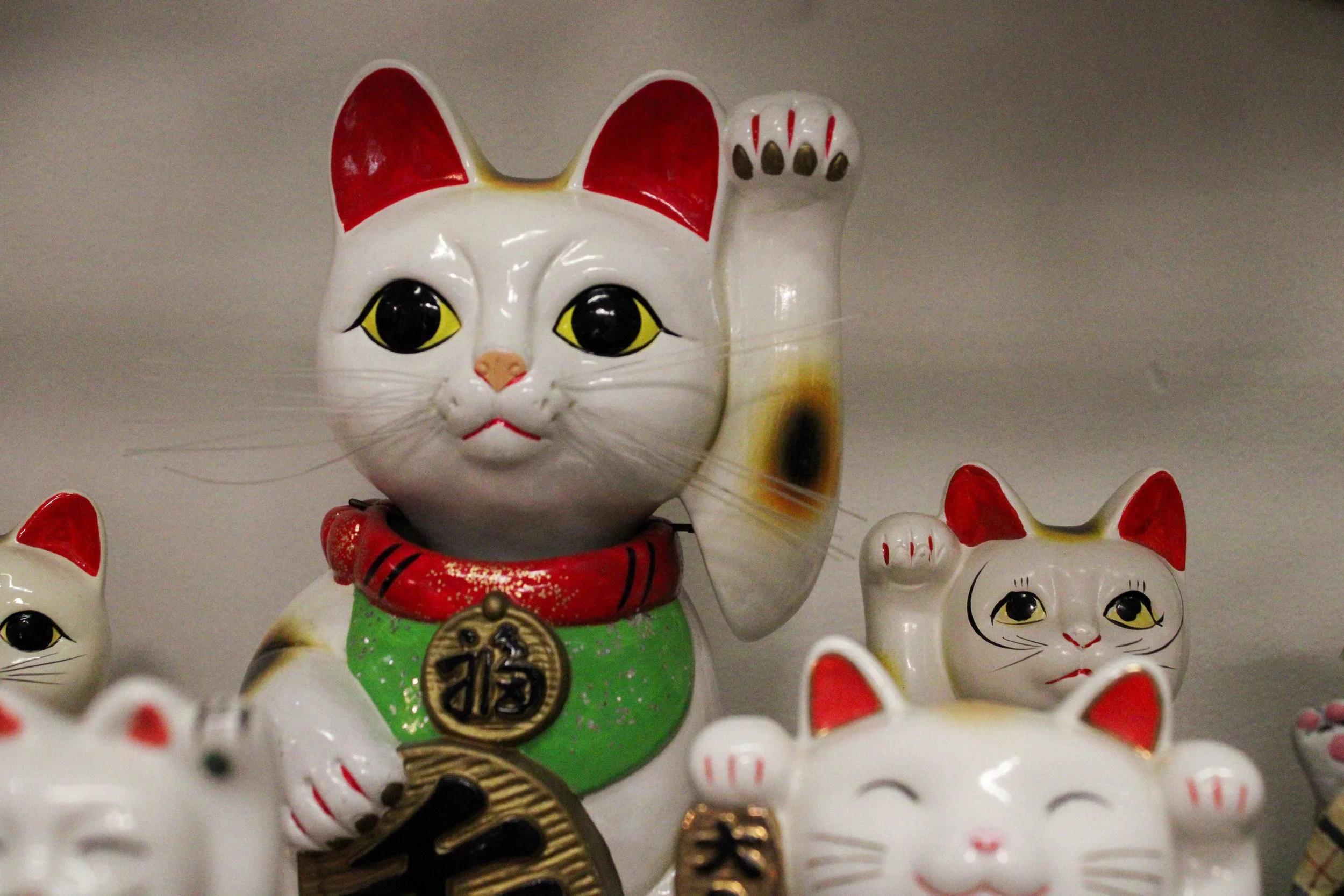 The Cats — Lucky Cat Museum